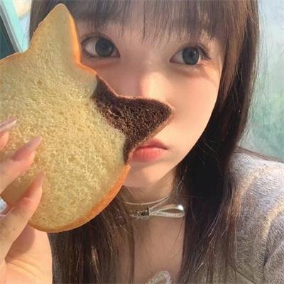 大笨蛋